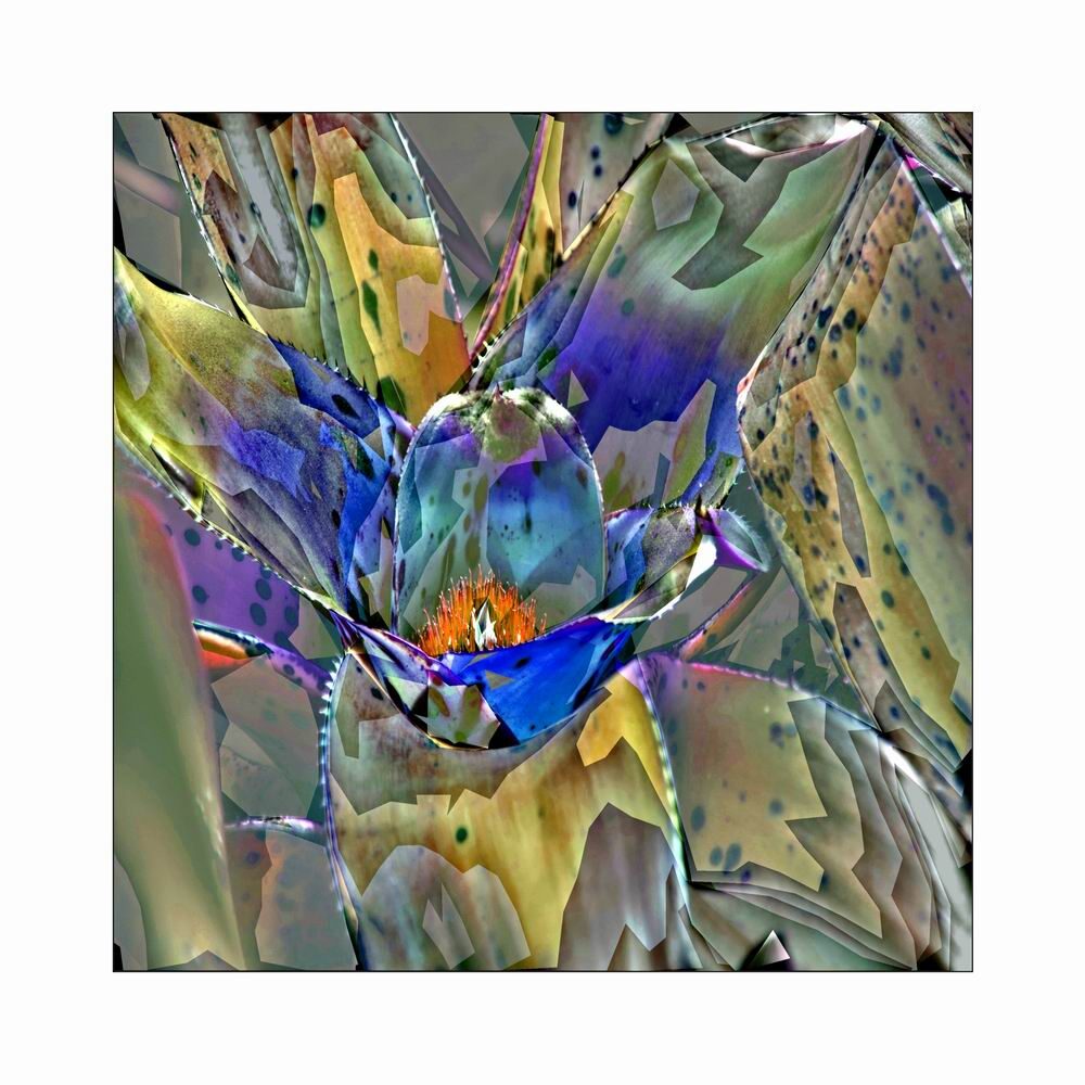 Größenänderung64174 b06R 2015